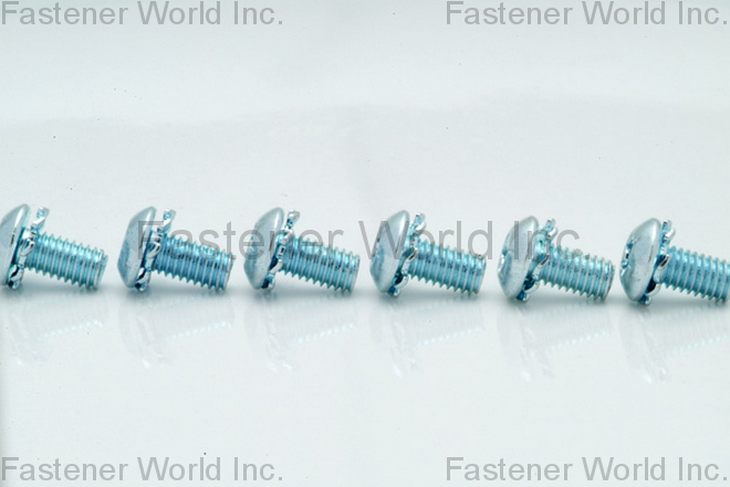 HO HONG SCREWS CO., LTD.  , External Tooth Washer , External Tooth Washers
