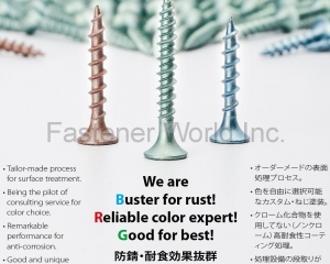 Color-coated Screws(JOINER FASTENER ENTERPRISE CO., LTD )