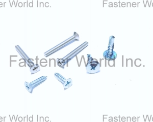 Phillips machine/self drilling/tapping screw(桐和兴实业有限公司)