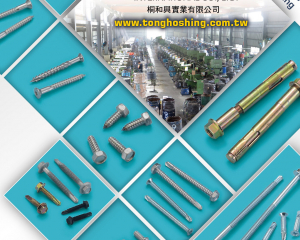 304/316/410 Stainless steel screw(桐和兴实业有限公司)