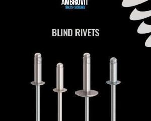 Blind Rivets(AMBROVIT S.P.A.)