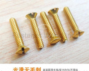 Copper screws brass slotted oval head machine screws(Chongqing Yushung Non-Ferrous Metals Co., Ltd.)