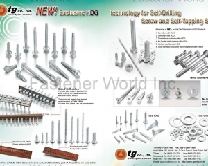 Hot-Dip Galvanizing Process For Nail, Washer, Spring Washer, Tapping Screw, Screw, Bolt And Nut, Hot-Dip Galvanized Self-Drilling Screw (Exclusive!)(TG CO., LTD. )