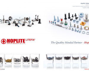 Building Indoor / Outdoor, Electronic Nuts / Screws and Bolt / Special, Automotive Screw and Bolt / SEMS / Nut and Bushing / Clip, General Forniture / Packing / Tooling(HOPLITE INDUSTRY CO., LTD)