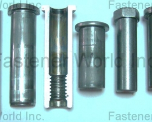 Customized Automotive Parts & Special Fasteners Manufacture(TANG AN ENTERPRISE CO., LTD.)