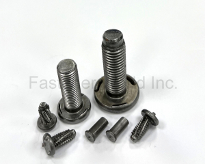 Weld Screws 焊接螺絲(Tina Fastener Co., Ltd.)