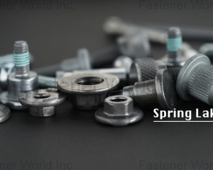 Special Cold Forged Screw/Nut(SPRING LAKE ENTERPRISE CO., LTD. )