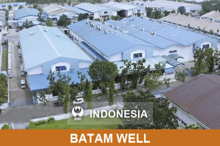 Batam_Well_Indonesia_9359_0.jpg