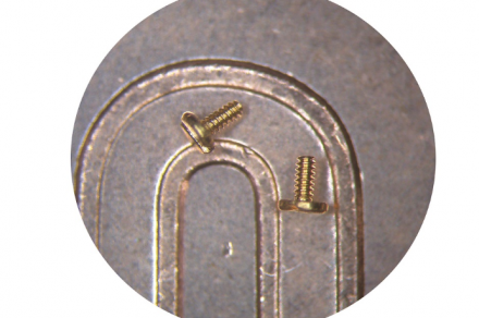 Daishin_microscrews_on_a_coin_6845_1.png Daishin_microscrews_on_a_coin_6845_1.png