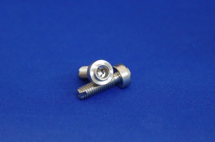 SCREW_a6016_1.jpg SCREW_a6016_1.jpg
