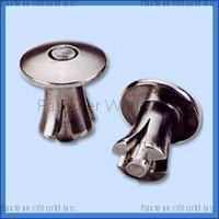 AMPLE LONG INDUSTRY CO., LTD. , Drive Rivet , Drive Rivets