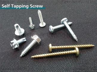 曜維貿易有限公司 , Self Tapping Screw , 不銹鋼自攻螺絲