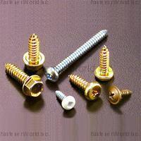 DRAGON IRON FACTORY CO., LTD.  , Self Tapping Screws , Self-Tapping Screws