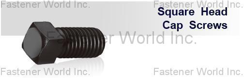 MAUDLE INDUSTRIAL CO., LTD.  , Square Head Set Screw , Square Head Set Screws