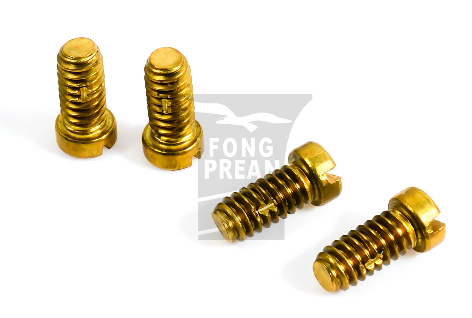 FONG PREAN INDUSTRIAL CO., LTD. , Brass Screw , Special Screws