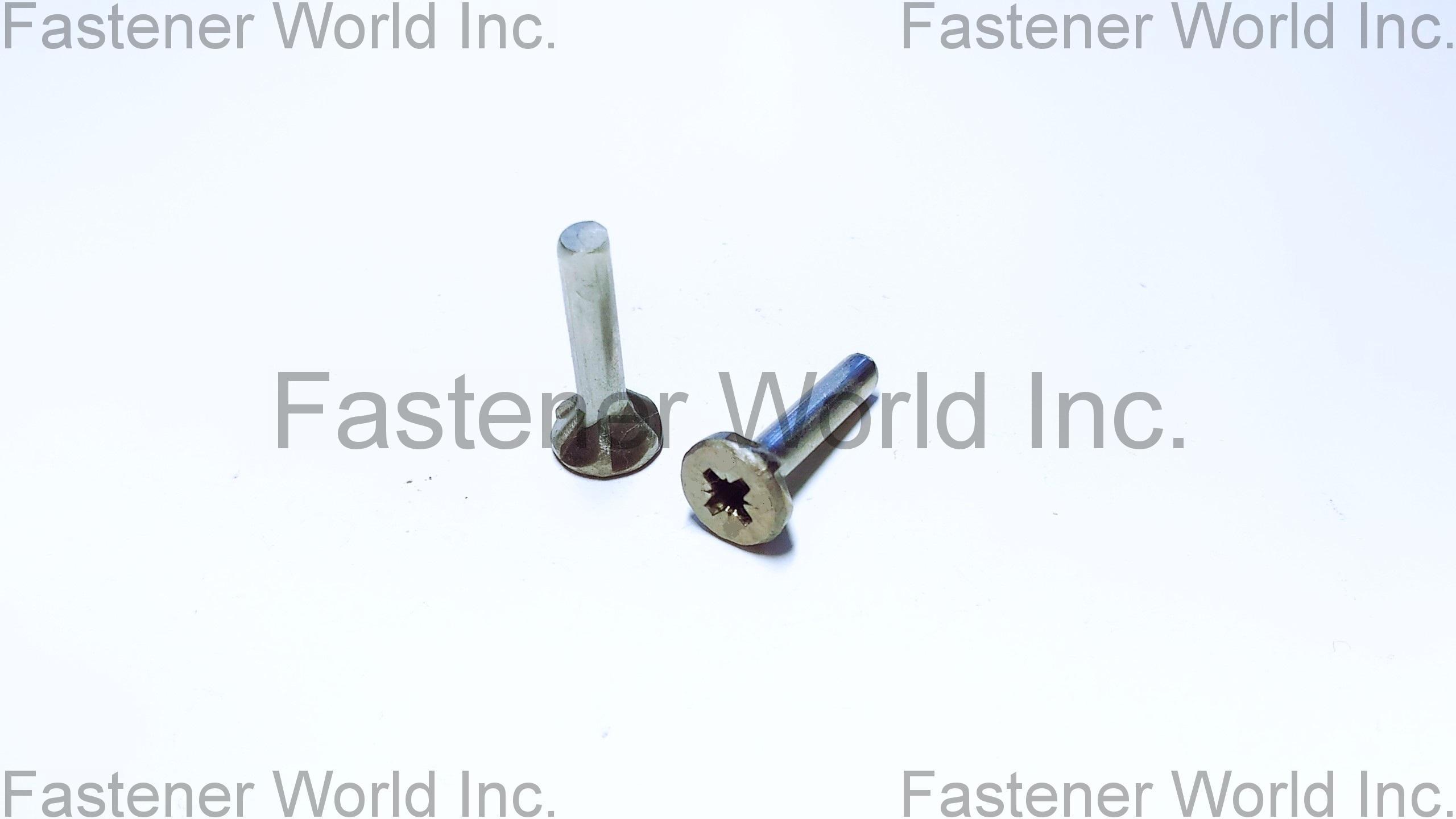 TONG HO SHING INTERNATIONAL CO., LTD. , Pozidrive screws , All Kinds of Screws