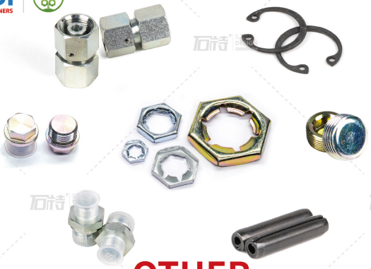 ZDI SUPPLIES (HAIYAN) CO., LTD. , Retaining rings, pins, screw plugs