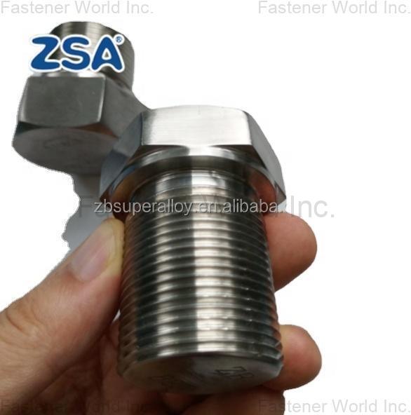 JIANGSU ZSA INDUSTRY CO., LTD , Hexagon Plug, Incoloy 825 JIANGSU ZSA INDUSTRY CO., LTD , Hexagon Plug, Incoloy 825