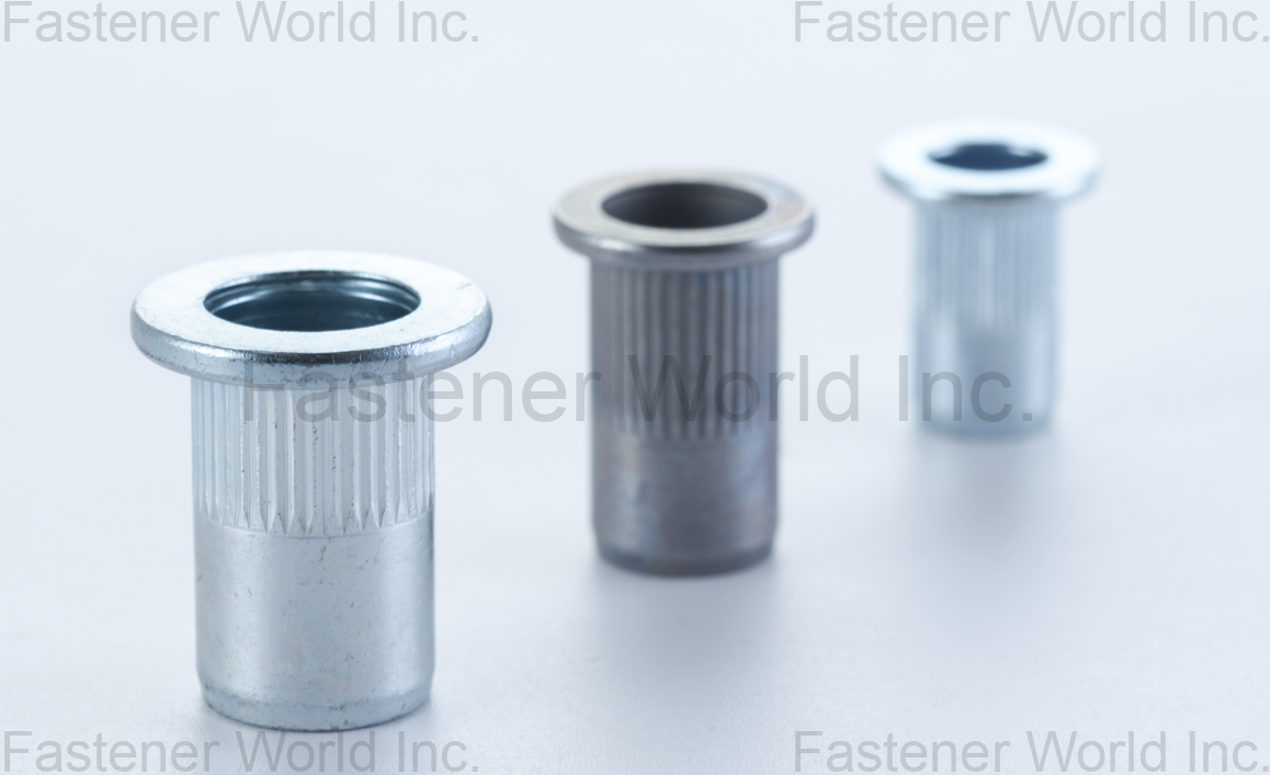 RIVETECH FASTENERS COMPANY LTD.