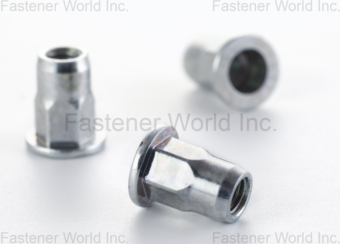 RIVETECH FASTENERS COMPANY LTD.