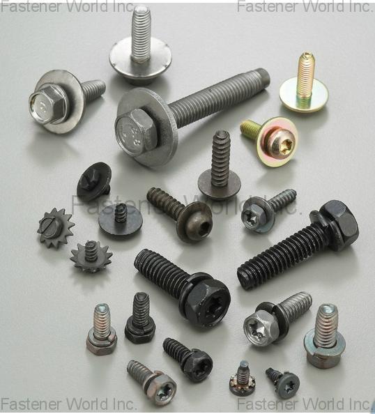 QST INTERNATIONAL CORP.  , Sems , SEMS Screws