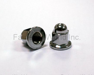 HEX PILOT NUT(CHONG CHENG FASTENER CORP. (CFC))