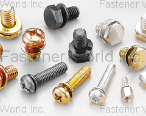 fastener-world(CHIAN YUNG CORPORATION  )