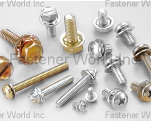 SEMS SCREW(CHIAN YUNG CORPORATION )