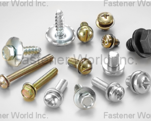 fastener-world(CHIAN YUNG CORPORATION  )