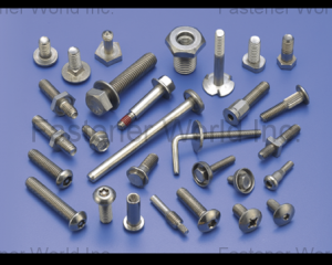 STAINLESS STEEL BOLTS/SCREWS(正楓企業有限公司 )