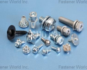 fastener-world(CHU WU INDUSTRIAL CO., LTD.  )