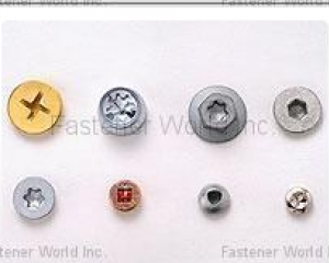 SPECIAL DRIVE SCREW(AVIOUS ENTERPRISE CO., LTD.)