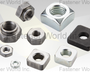 Square Nut(FONG WUNS CO., LTD. )