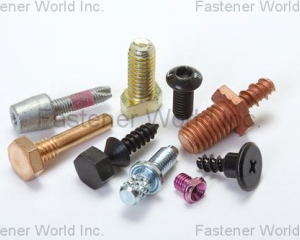 custom-made screw(CHU WU INDUSTRIAL CO., LTD. )