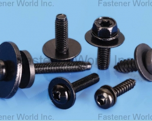 fastener-world(CHANNG CHIN INDUSTRY CORP.  )