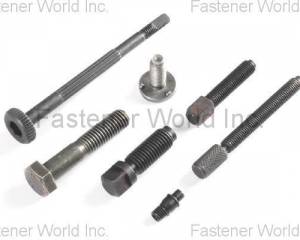 Special Screw(POL SHIN ENT. CO., LTD.)