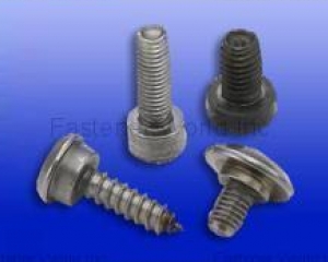 SCREWS(WAYNETEL INDUSTRIAL CO., LTD. )