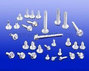 INDENTED HEX / WASHER HEAD SHEET METAL SCREWS(WAYNETEL INDUSTRIAL CO., LTD. )