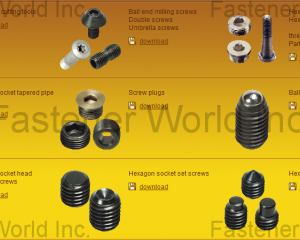 Screw plugs/ Screws for cutting tools/Hexagon socket set screws(KEEP FASTENER CO., LTD.)