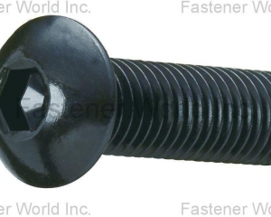 fastener-world(MAUDLE INDUSTRIAL CO., LTD.  )