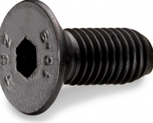 ISO10642 Hex Socket Flat Head Cap Screws (MAUDLE INDUSTRIAL CO., LTD. )