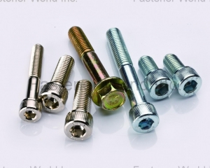 fastener-world(MAUDLE INDUSTRIAL CO., LTD.  )