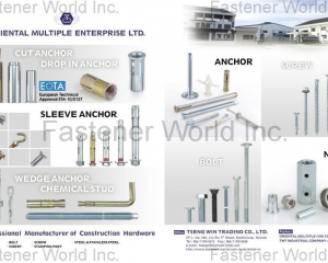 CUT ANCHOR, DROP IN ANCHOR, WEDGE ANCHOR, CHEMICAL STUD, SLEEVE ANCHOR, ANCHOR, BOLT, NUT, SCREW, INSERT, STAMPING PART, STEEL & STAINLESS STEEL(TSENG WIN / ORIENTAL MULTIPLE ENTERPRISE LTD.)