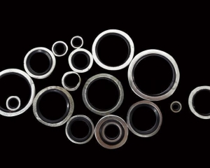 Oil Seal(UTA AUTO INDUSTRIAL CO., LTD.)