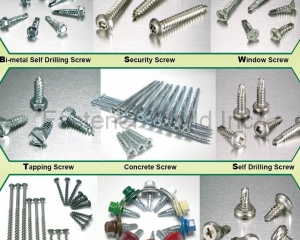 Bi-metal Self Drilling Screw, Security Screw, Window Screw, Tapping Screw, Concrete Screw, Drywall / Chipboard / Wood Screw, Roofing Screw, Stainless Steel Screw(PRO-PATH INDUSTRIAL COMPANY, LTD.(propath))