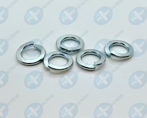 Spring Washers(POINT SCREW ENTERPRISE CO., LTD.)