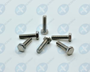 fastener-world(POINT SCREW ENTERPRISE CO., LTD. )