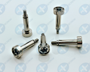 Special Torx Screw(POINT SCREW ENTERPRISE CO., LTD.)