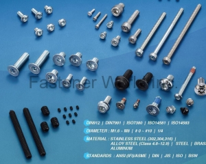 Machines Screw/Set Screw(谊峻实业有限公司 )