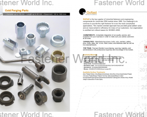 fastener-world(GOFAST CO., LTD.  )